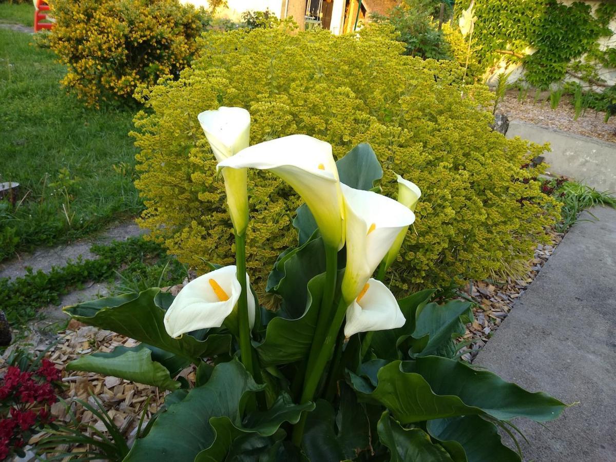 La Ribambelle Bed & Breakfast Saint-Brisson-sur-Loire Dış mekan fotoğraf